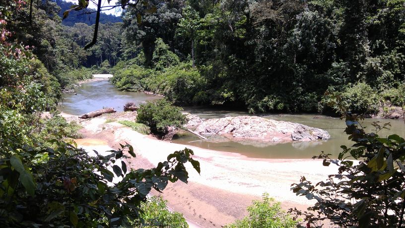 rivier in Danum Valley oerwoud in Sabah Borneo Maleisie